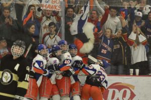 Armstrong fans celebrate Easton Hooks' (10) goal against Quaker Valley in the PIHL class AA Penguins Cup championship Tuesday, March 20, 2018, at the UPMC Lemieux Sports Complex.