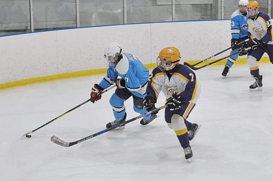 632959_PAL-PlumBurrellhockey04-010319 632959_PAL-PlumBurrellhockey04-010319