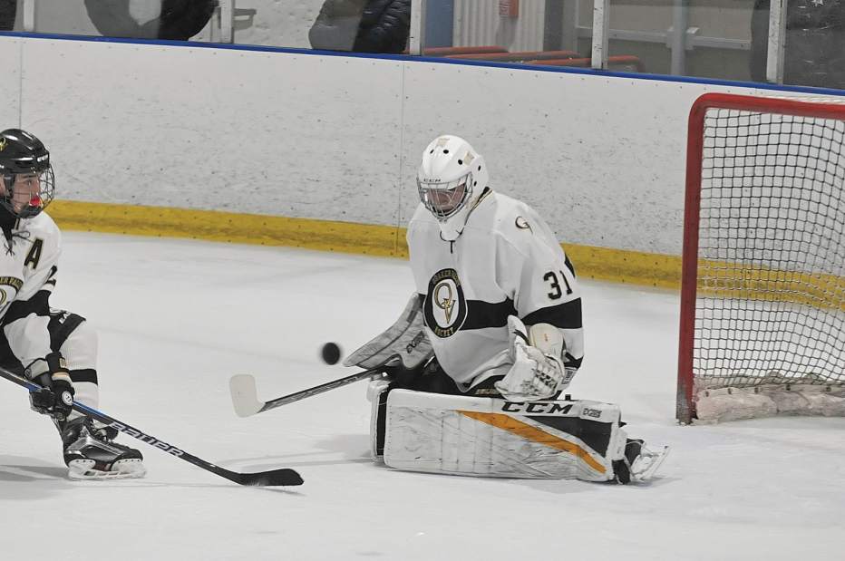 683170_sew-QVhockey01-112918