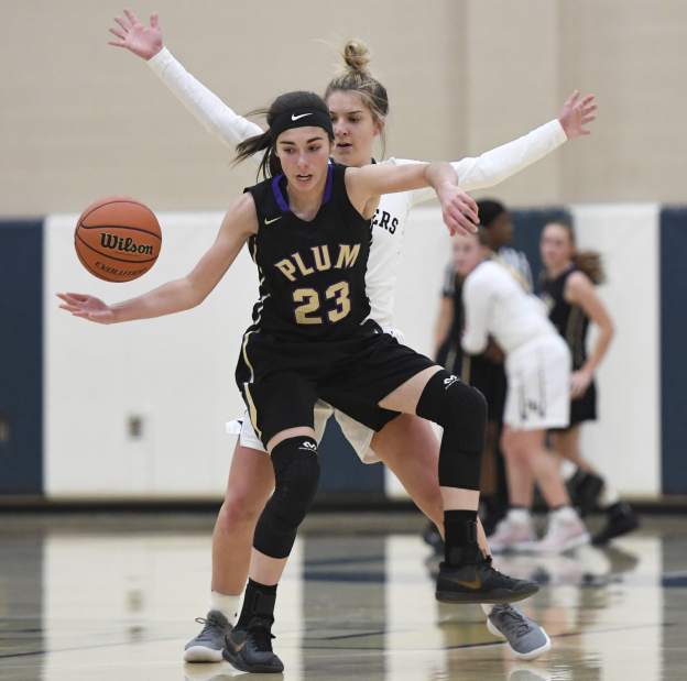 713615_gtr-PlumFR03-121818