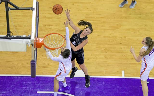 Plum grad Courtney Zezza became St. Francis (Pa.)s all-time leader in blocked shots over the weekend.
