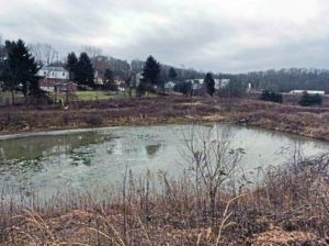 The Municipal Authority of Washington Township will have jurisdiction over new stormwater retention ponds for pollution control. Here is a pond in Murrysville where authorities are working to reduce stormwater-related pollution.