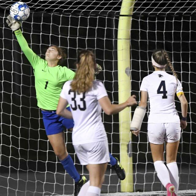 4311709_web1_ptr-HSSNroundup03-100721