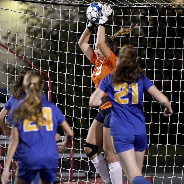 4311709_web1_ptr-HSSNroundup04-100721