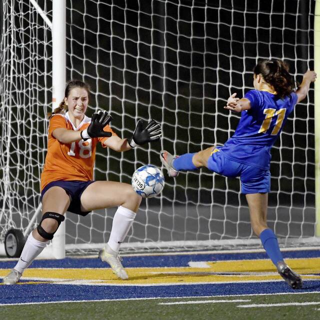 4311709_web1_ptr-HSSNroundup11-100721