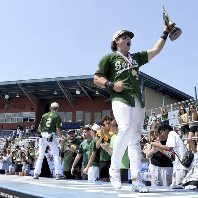 2023 TribLive HSSN Baseball All Stars Trib HSSN 2023 TribLive HSSN Baseball All Stars Trib HSSN