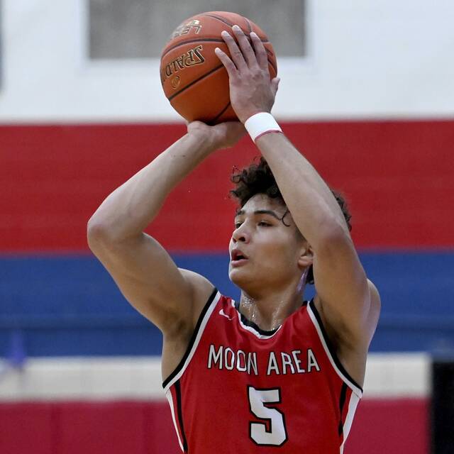 2024 TribLive HSSN Boys Basketball All Stars Trib HSSN 2024 TribLive HSSN Boys Basketball All Stars Trib HSSN