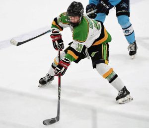 Deer Lakes’ Ryan Grunden plays against Burrell on Oct. 14, 2024 at Alpha Ice Complex.