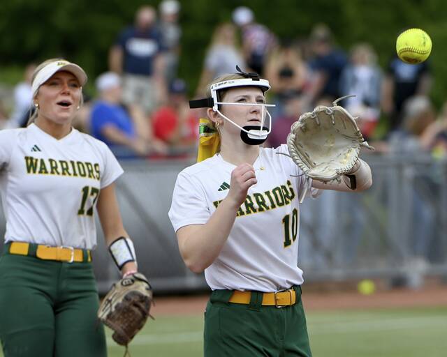 8560740_web1_gtr-PTsoft03-060525