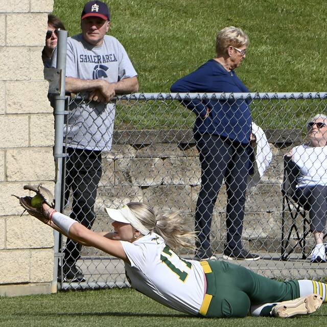 8560740_web1_gtr-PTsoft04-060525