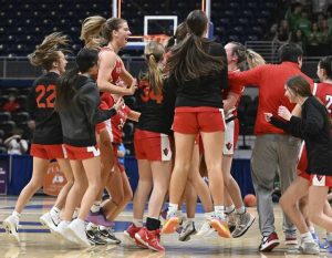 Peters Township celebrates beating South Fayette in the WPIAL Class 5A championship game Feb. 28 at Petersen Events Center.