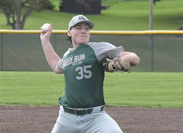 Bushy Run pitcher Brandon Roher, shown during the District 31 playoffs, led his team to a win in the opening round of the state tournament Saturday.