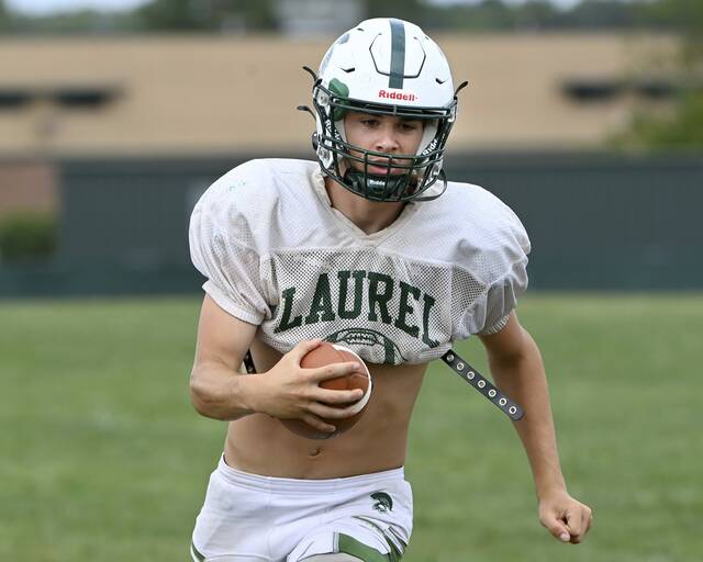 8697201_web1_ptr-FTAB25-Laurel-02