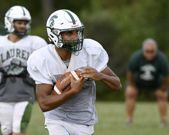 8697201_web1_ptr-FTAB25-Laurel-03