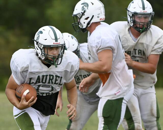 8697201_web1_ptr-FTAB25-Laurel-06