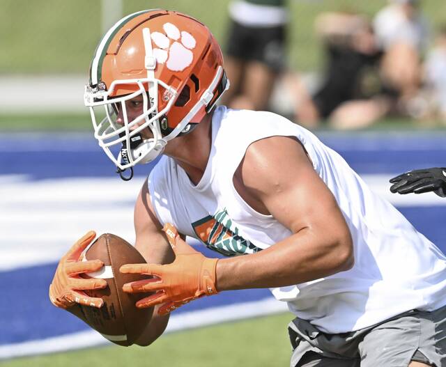 8713161_web1_gtr-Yough03-080125