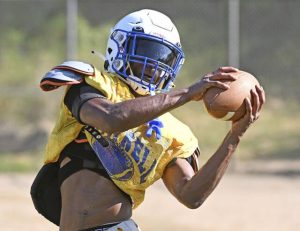 Cornell receiver Isaiah Dawson makes a catch during practice Tuesday.