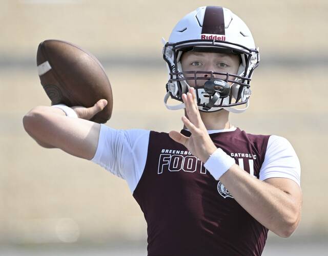 8737172_web1_gtr-GCC01-080125