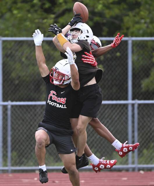 8739428_web1_fch-7on706-071025