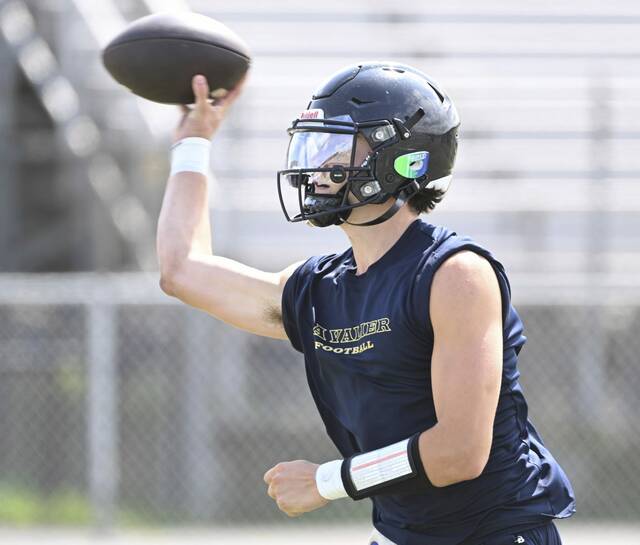 8741295_web1_vnd-Kiski03-080125