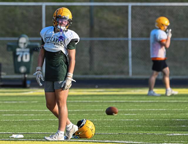 8741374_web1_vnd-DLcamp10-080825