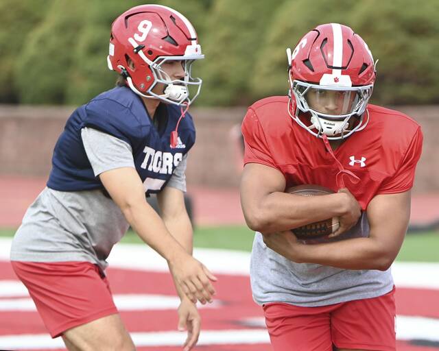 8743238_web1_ptr-FTAB25-Moon-03