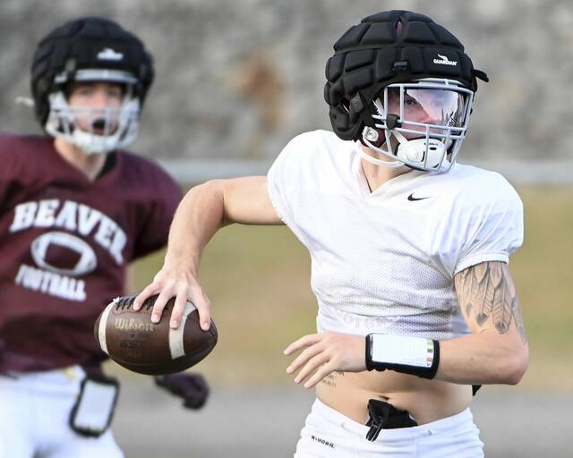 8744255_web1_ptr-FTAB25-Beaver-01