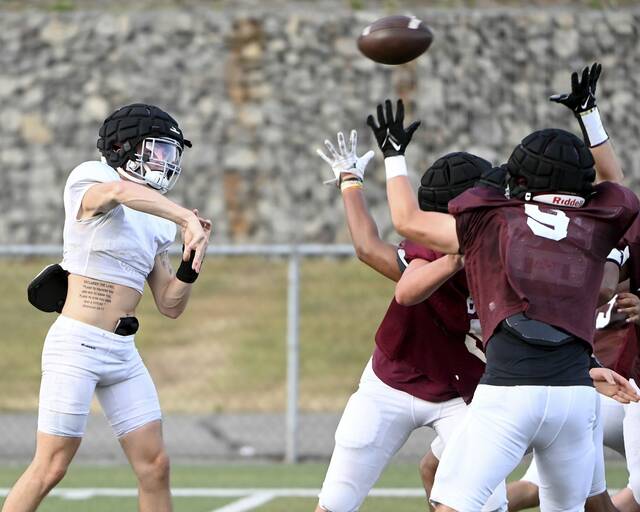 8744255_web1_ptr-FTAB25-Beaver-08