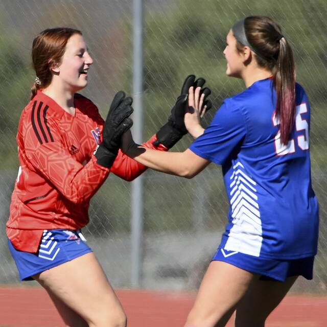 8756352_web1_ptr-MPFreeportgsoc10-103022