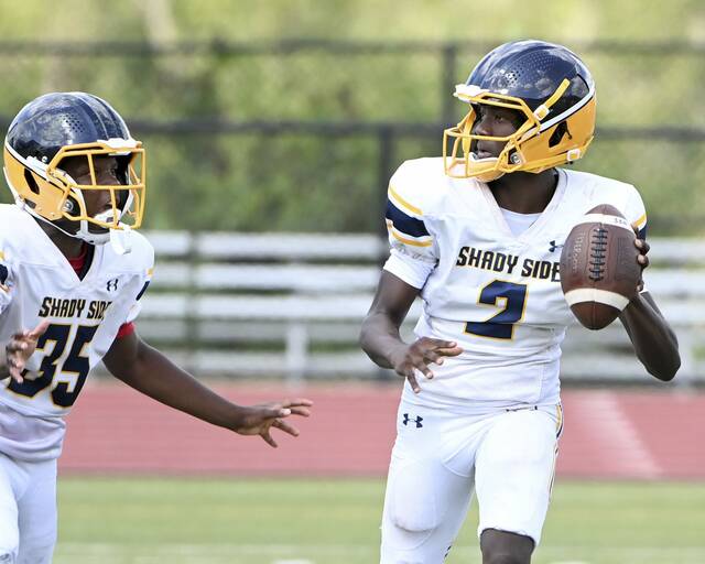 8770787_web1_ptr-FTAB25-ShadySide-04