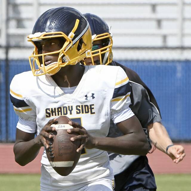 8770787_web1_ptr-FTAB25-ShadySide-07