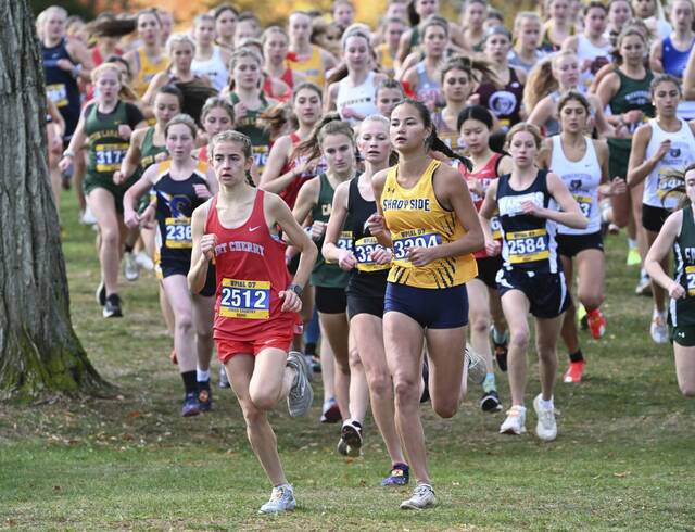 8796035_web1_ptr-XC04-102524