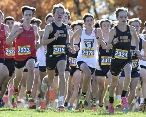 The start of the Class 3A boys race at the 2024 WPIAL cross country championships.