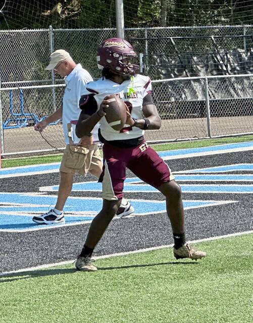 8803464_web1_ptr-WestinghouseSV3-082425