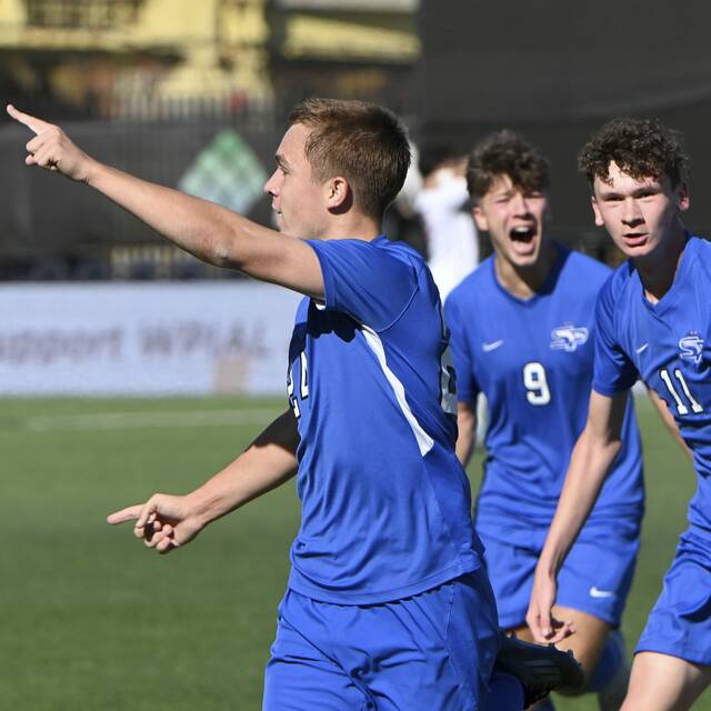 8807480_web1_ptr-SParkAvonbsoc01-110224