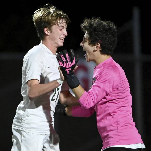 8807878_web1_ptr-BVAMP10-101123