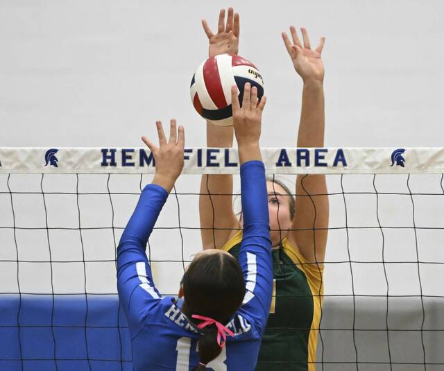 8816838_web1_gtr-PTHemp02-100924