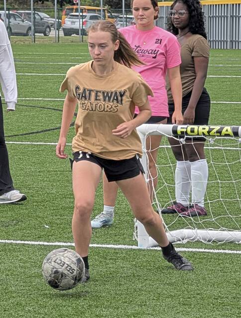 8816875_web1_TE-Gatewaygsoc2-090425