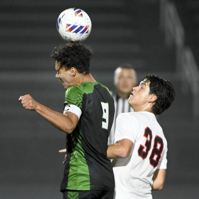 8835182_web1_ptr-HSroundup03-090525