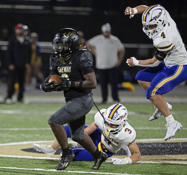 8837826_web1_vnd-PlumGateway16-090625