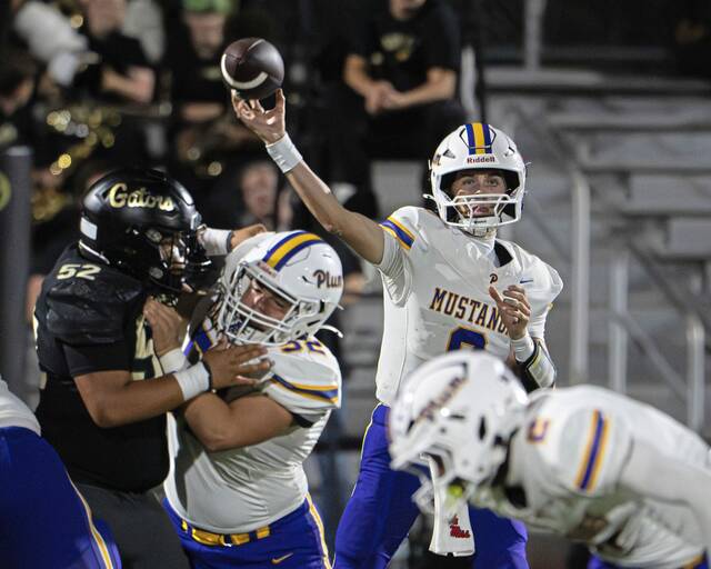 8837826_web1_vnd-PlumGateway17-090625