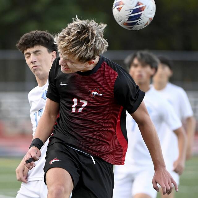 8847926_web1_ptr-FCSVbsoc06-091025