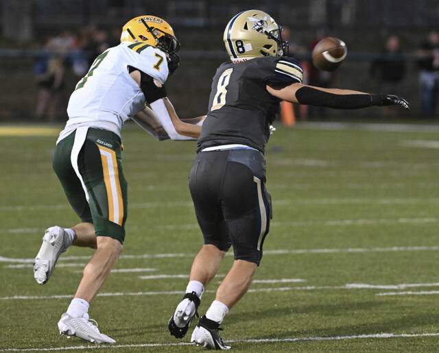 8860273_web1_vnd-FPDL08-091325