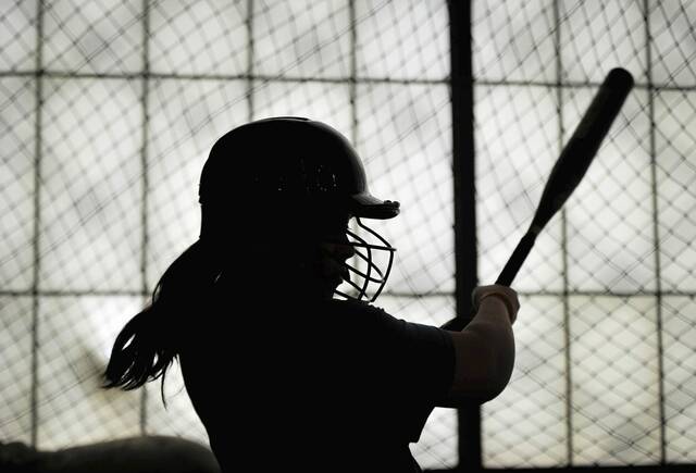 8869108_WEB1_PTR-SOFTBALLSTOCK13