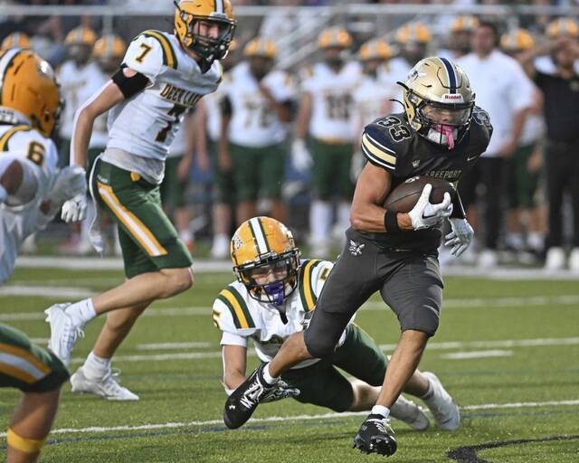 8871171_web1_vnd-FPDL06-091325