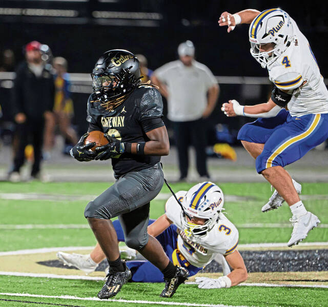 8877240_web1_vnd-PlumGateway16-090625