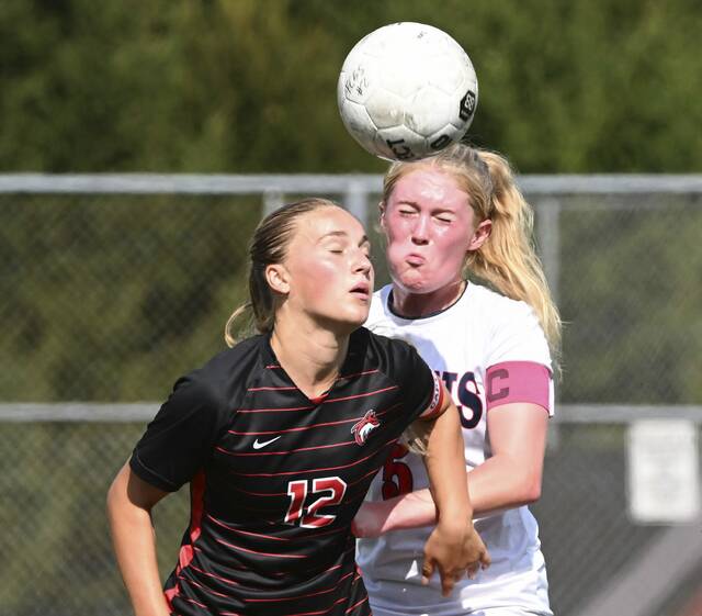 8887390_web1_vnd-FCShaler02-092325