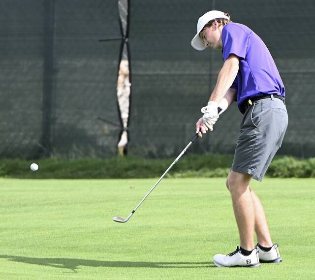 8910938_web1_ptr-WPIAL2Agolf04-100125