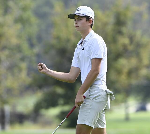 8910938_web1_ptr-WPIAL2Agolf06-100125