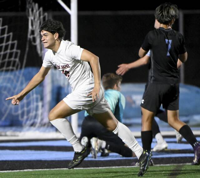 8910956_web1_ptr-HSroundup04-100125